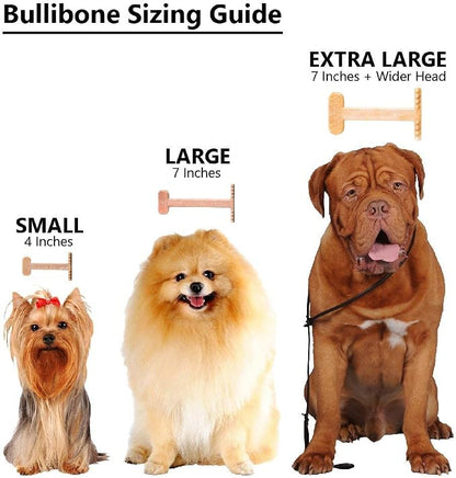 Bullibone Nylon Dog Chew Toy for Aggressive Chewers - Image 5