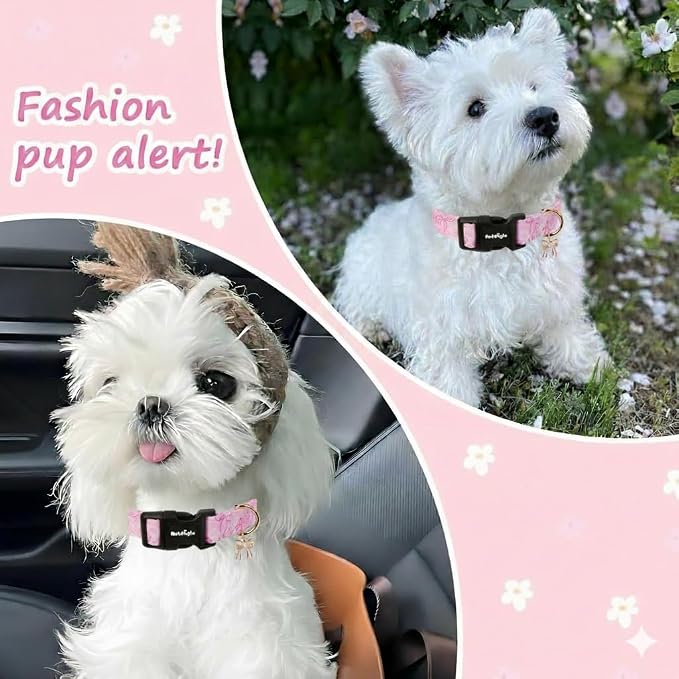 Extra Small Dog Collar, Girl Boy Dog Collars - Image 4