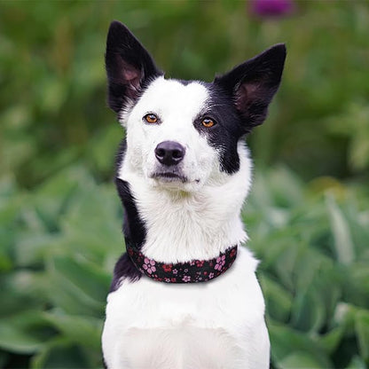 QQPETS Adjustable Soft Dog Collar: Print Flower Pink Multicolor Cute Patterns - Image 2