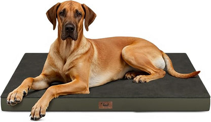 Flat Extra Large Dog Bed, Jumbo Waterproof Dog Bed by TailStories