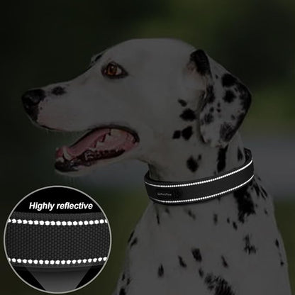 PetiFine Dog Collars for Small Dogs, Neoprene Padded Dog Collar, Reflective - Image 4