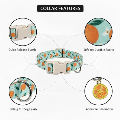 Dog Collar, Spring Summer Dog Collar - Image 2