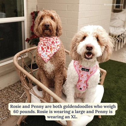 Lucy & Co. Cute Reversible Dog Harness Walking Halter - Image 3