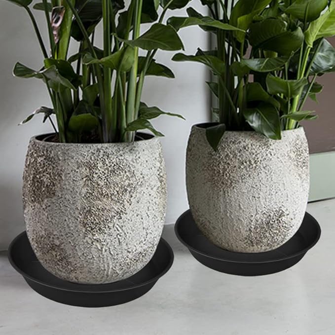 3 Pack of 20 22 inch Plant Saucer, 3.6" Depth Tray, Bath Baths Bowl - Image 7