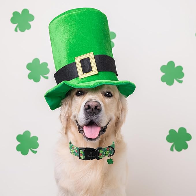 St Patricks Day Dog Collar for Large Dogs - Image 4