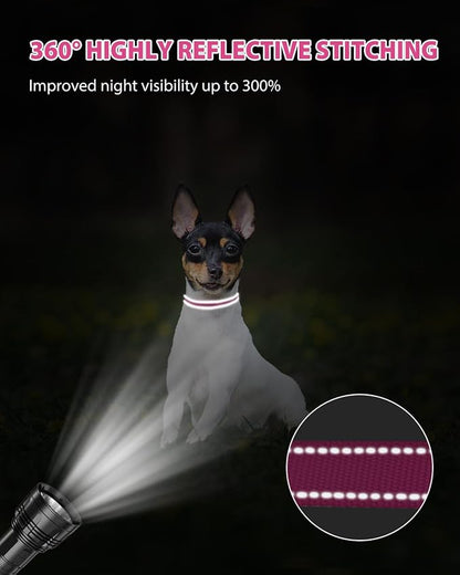 Joytale Small Dog Collar, Reflective and Adjustable Nylon Collar - Image 5