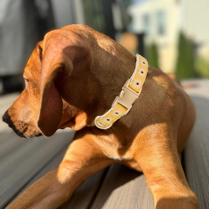 Woven Dog Collar with Metal Buckle Adjustable Jacquard Retro Dog Collars - Image 5