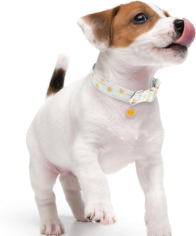 Faygarsle Sunshine Pattern Dog Collar, Adjustable Cotton Fabric, Cute Design - Image 6