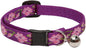 LupinePet Originals 1/2" Rose Garden Cat Safety Collar by LupinePet