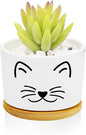 Window Garden Cat Planter Pots, Cat Gifts by Databa