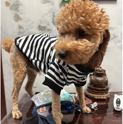 Autumn Dog Sweater with Leash Ring Warm Striped Puppy Shirt - Image 4