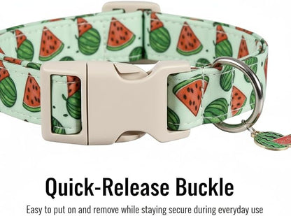 Summer Dog Collar for Medium Dogs, Cute Dog Collar - Image 3