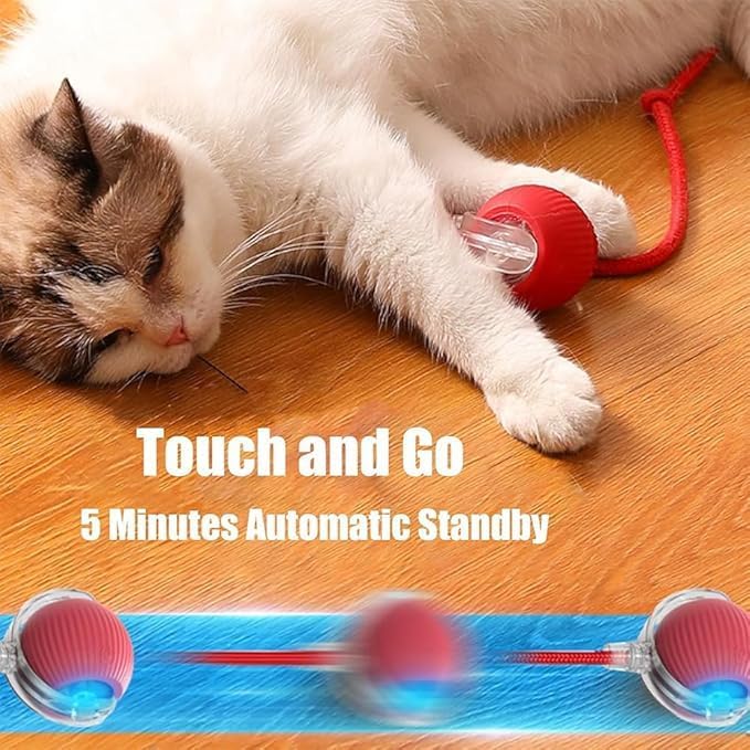 2025 New Electric Dog Ball Toy, 360° Smart Automatic Interactive Rolling Ball - Image 5