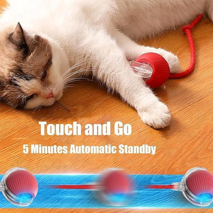 2025 New Electric Dog Ball Toy, 360° Smart Automatic Interactive Rolling Ball - Image 5