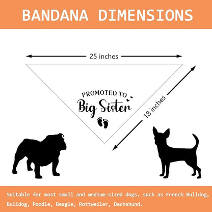 Promoted to Big Sister Pregnancy Announcement Dog Bandana Baby Gender Reveal - Image 2