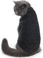 Stretchy Cat Sweater by Jnancun