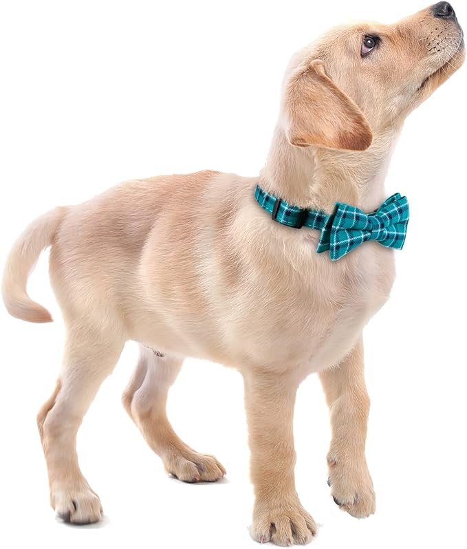 Faleela Soft &Comfy Bowtie Dog Collar, Detachable and Adjustable Bow Tie Collar - Image 5