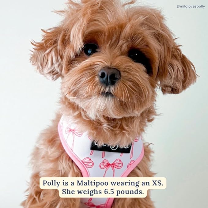 Lucy & Co. Cute Reversible Dog Harness Walking Halter - Image 8