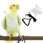 Pet Parrot Bird Harness and Leash, Adjustable Training Design Anti-Bite by Dnoifne