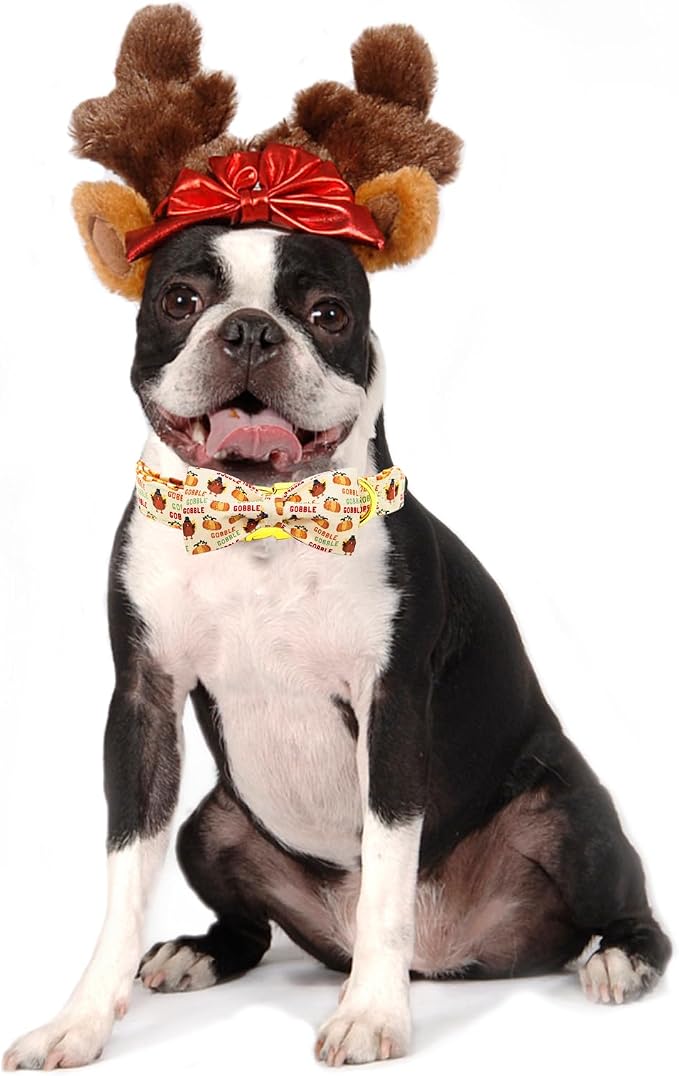 Dog Collar, Thanksgiving Turkey Pet Collar Bow Holiday Girl Boy Bow Puppy - Image 5