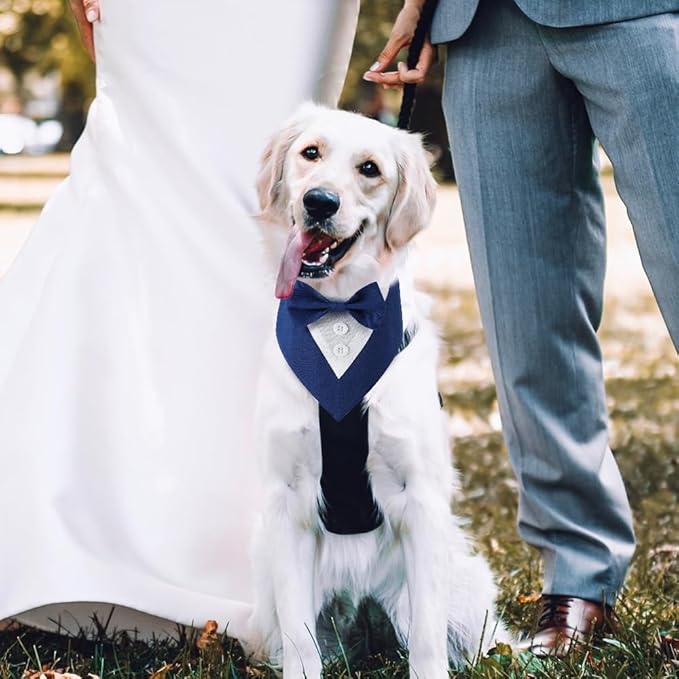 Formal Dog Tuxedo Adjustable Pet Collar - Image 5