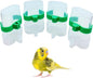 Bird Water Dispenser Parrot Water Feeder Bird Seed Container by Hamiledyi
