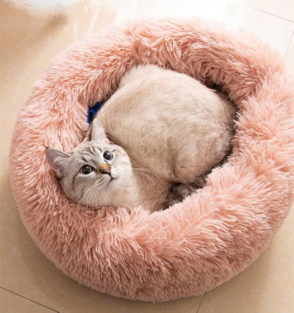Large Cat Beds for Indoor Cats by Unknown