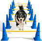 Dog Agility Course Backyard Set, Dog Agility Hurdle Cone Set by Lupar