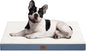 Plush Orthopedic Dog Bed for Medium Dogs & Puppies, Waterproof Dog Beds 30x20 by TailStories