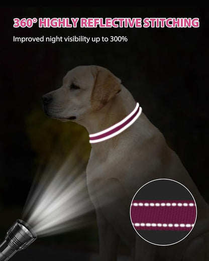 Joytale Reflective Dog Collar, Adjustable Nylon Pet Collar - Image 5