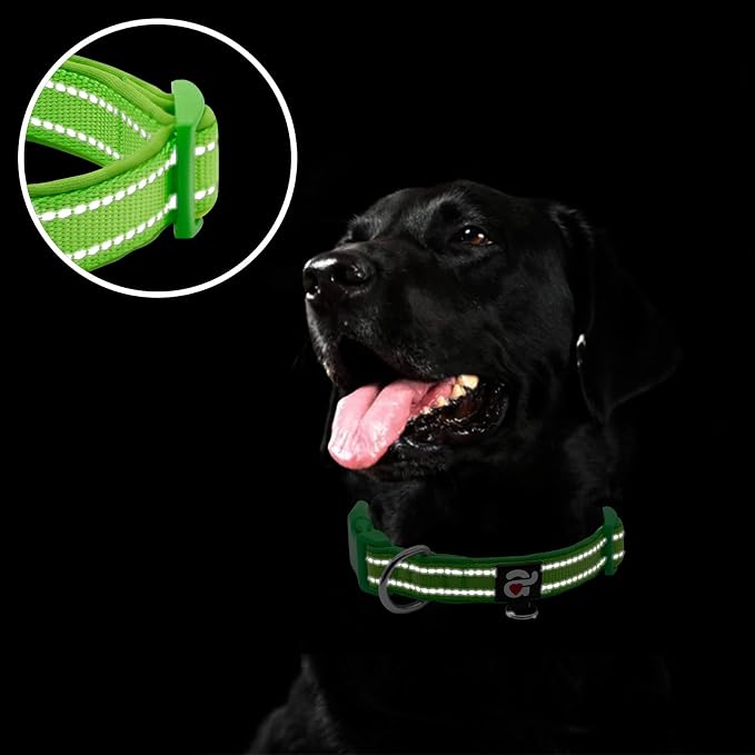 azuza Reflective Dog Collar, Soft Neoprene Padded Pet Collar - Image 4