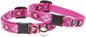 LupinePet Originals 1/2" Puppy Love Cat Safety Collar by LupinePet