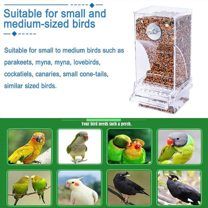 Hamiledyi Automatic Parrot Feeder - Image 7