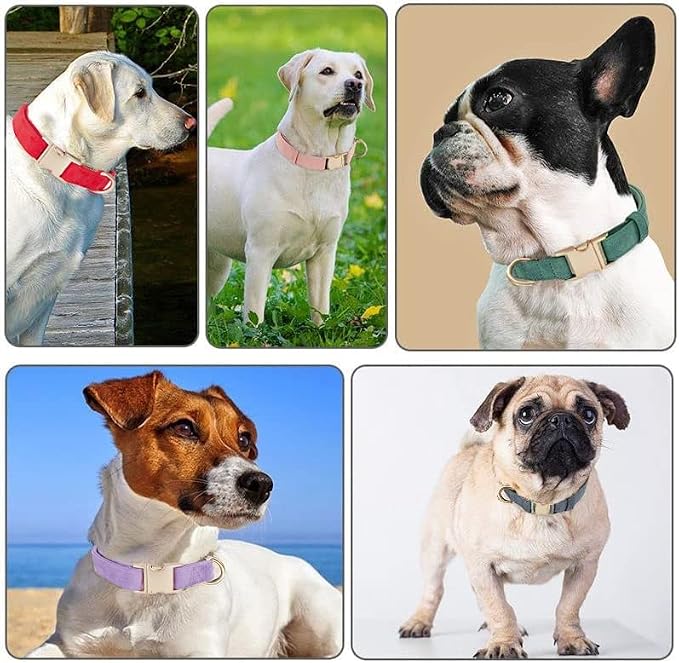Soft Cotton Dog Collar with Metal Buckle Adjustable Heavy Duty Comfy Corduroy - Image 3