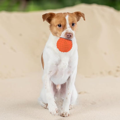 Best Pet Supplies Interactive Squeaky Dog Chew Toy, Ideal Dog Toys - Image 6