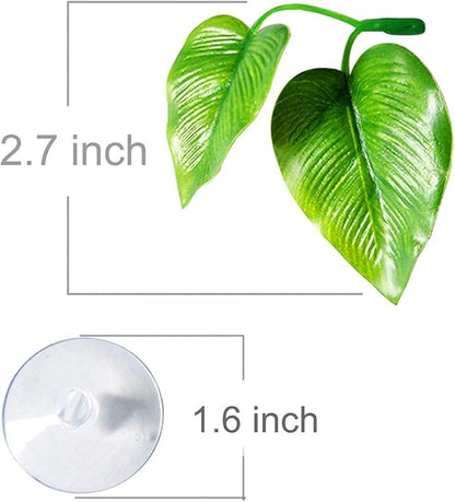 CousDUoBe 1 Pack Betta Fish Leaf Pad Improves Betta's Health by Simulating The - Image 3