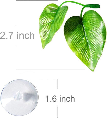 CousDUoBe 3 Pack Betta Fish Leaf Pad Improves Betta's Health by Simulating The - Image 3