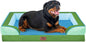 Comfort Expression Orthopedic Dog Bed by ComfortExpression