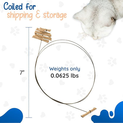 Cat Dancer Interactive Cat Toy - Image 3