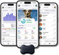 FitBark 2 Dog Activity Monitor | Health & Fitness Tracker by FitBark