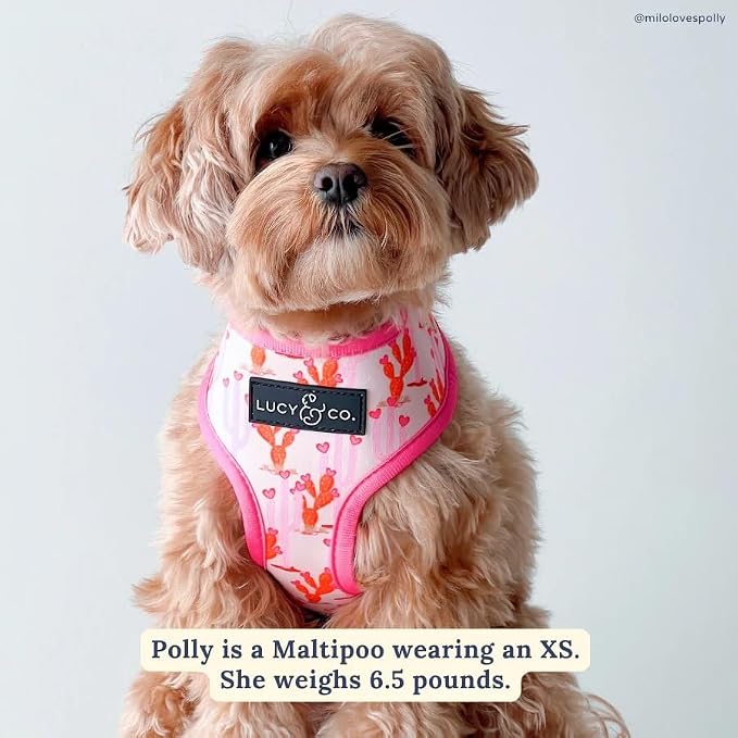 Lucy & Co. Cute Reversible Dog Harness Walking Halter - Image 2