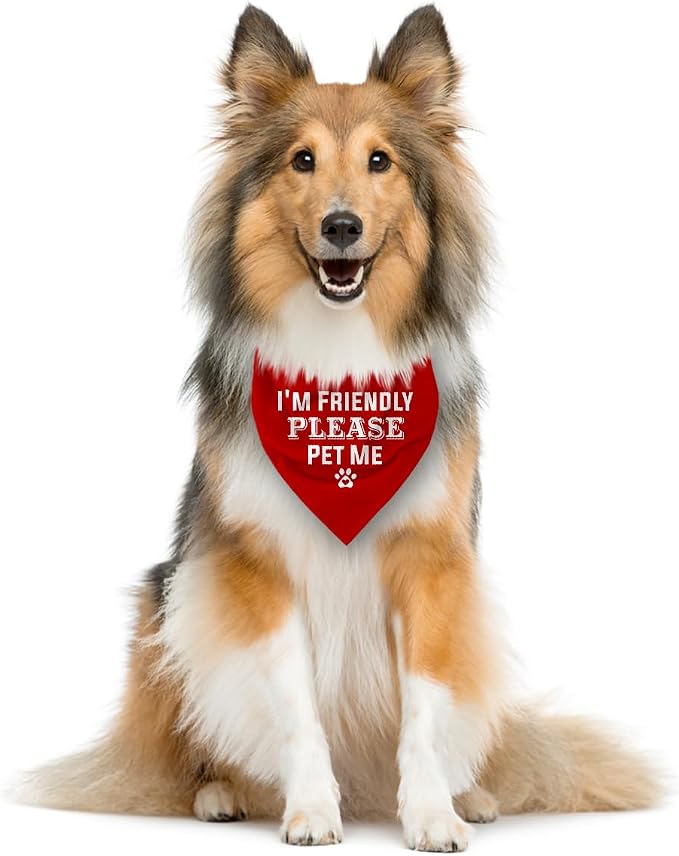 I'm Friendly Please Pet Me Dog Bandana - Image 3