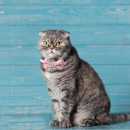 AIITLE Breakaway Cat Collar - Image 5