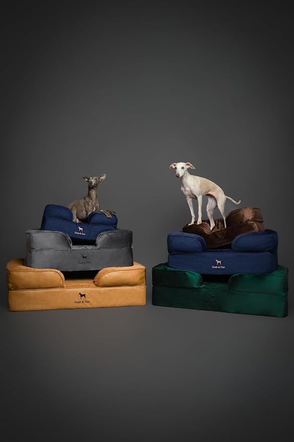 NOAH & PAW Dog Bed, Orthopedic Dog Beds - Image 9