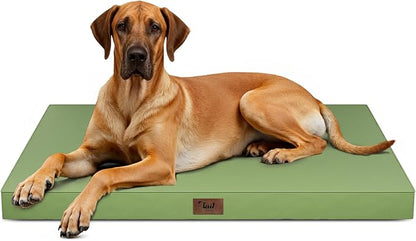 Outdoor Extra Large Dog Bed, Jumbo Waterproof Dog Bed by TailStories