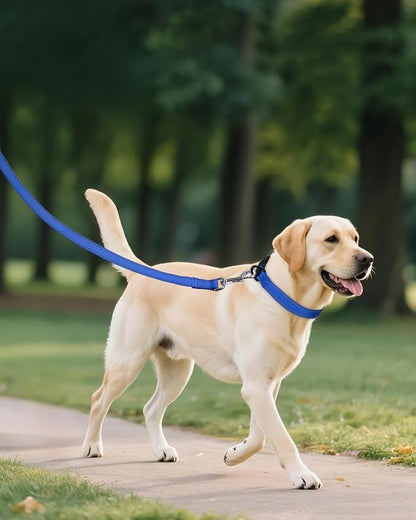 Joytale Large Dog Collar, Reflective and Adjustable Nylon Pet Collar - Image 6