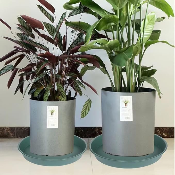 2 Pack of 14 inch Plant Saucer, 1.7" Depth Tray, Large Deep Garden Plastic - Image 7