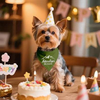 Adventure Buddy Green Dog Bandana, Funny Puppy Scarf Photo Prop - Image 4
