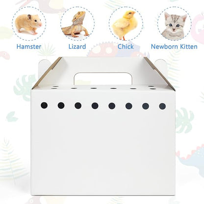 Disposable Cardboard Pet Carrier - Image 5