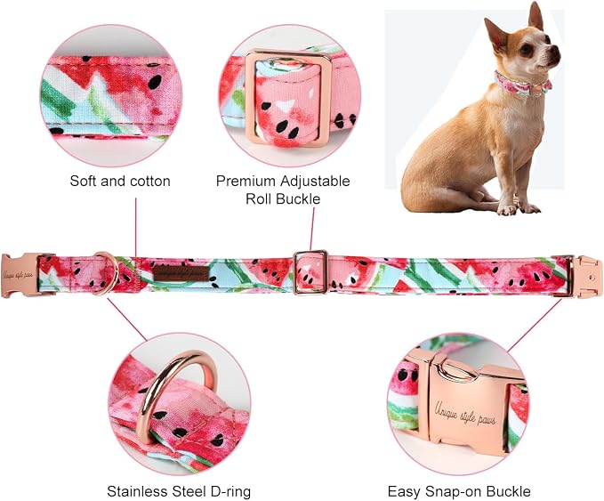 Unique Style Paws Watermelon Collar - Image 2